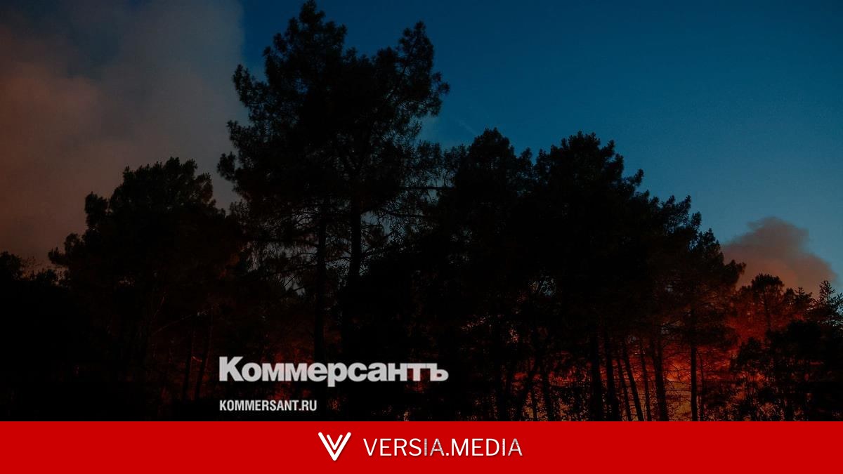 Крупный пожар охватил лес Фонтенбло под Парижем